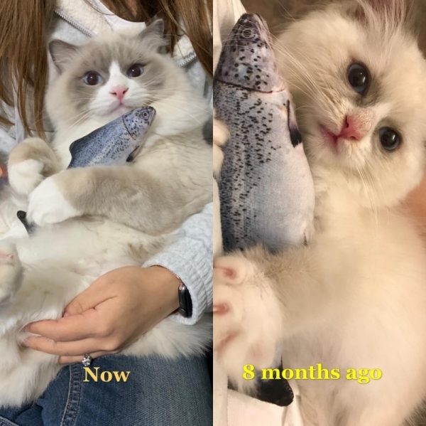 17 фотографий, которые наглядно показывают, что такое время
