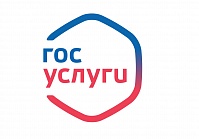 Пользователи портала госуслуг могут подключиться к «Личному кабинету налогоплательщика» дистанционн