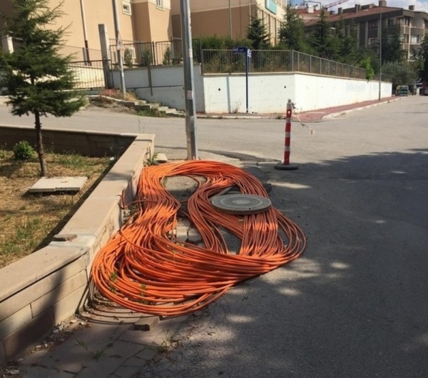 25 фотографий, от которых каждому станет мучительно больно