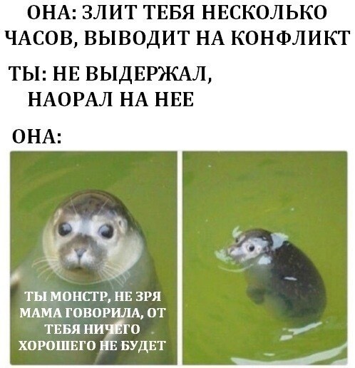15 наглядных доказательств того, почему мужчины никогда не смогут на 100% понять женщин