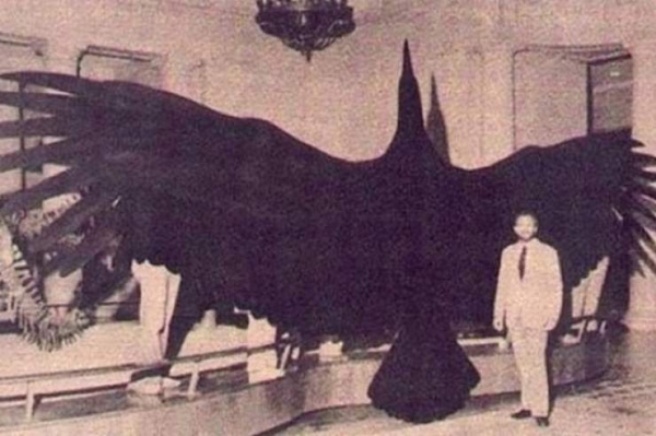 16 фотографий, способных показать историю немного под другим углом, о котором мы не подозреваем