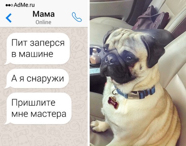20 королей невезения, которым повезло оказаться в ненужном месте в ненужное время