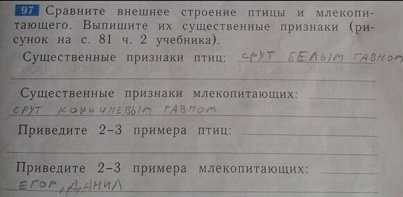 Детки отжигают: 14 чумовых перлов, которые удивляют родителей