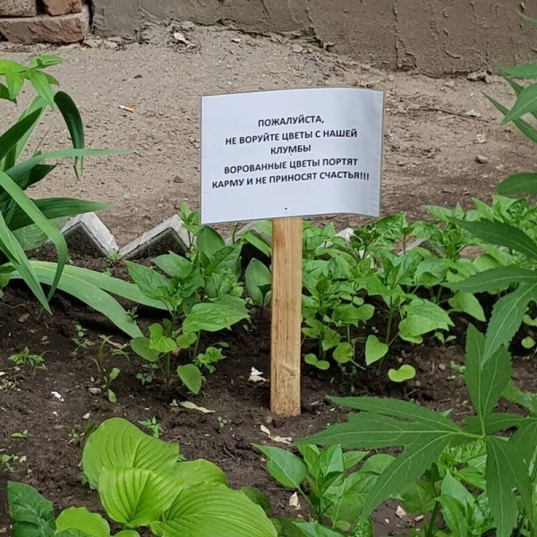 17 убойных объявлений, которые могли придумать только наши люди