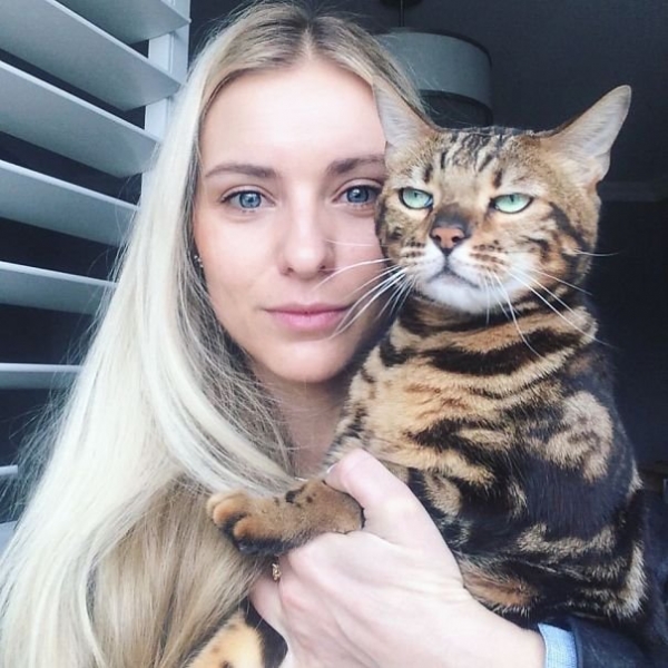 15 котиков, которые терпеть не могут селфи с хозяевами
