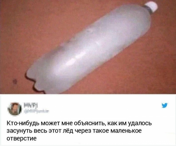 18 раз, когда люди так сильно протупили, что даже вам станет стыдно