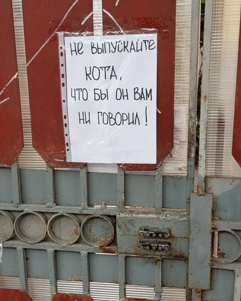 17 убойных объявлений, которые могли придумать только наши люди