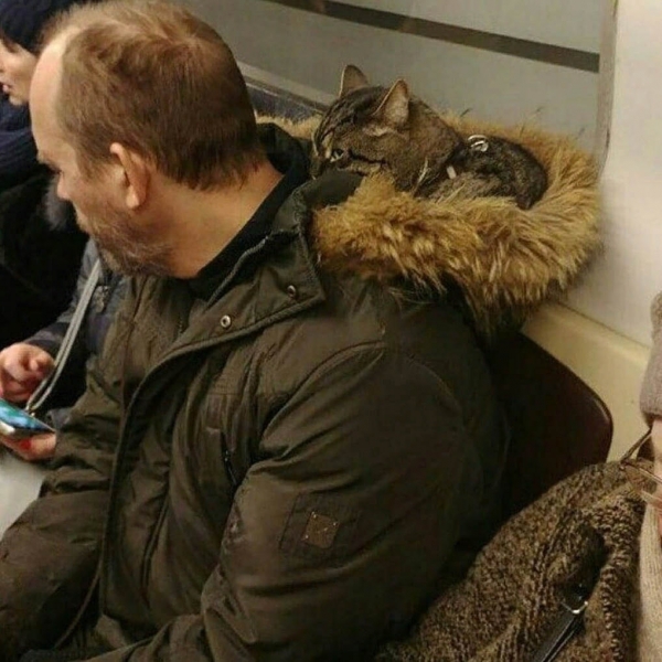 17 попутчиков, которых нежданно-негаданно можно встретить в транспорте