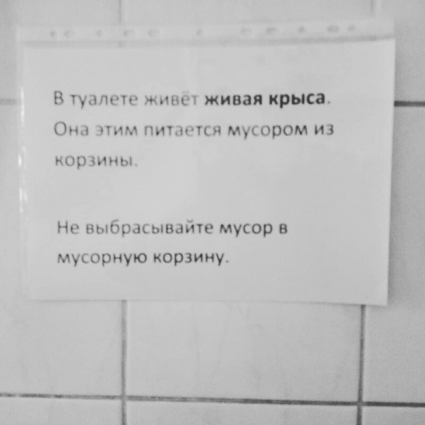 17 убойных объявлений, которые могли придумать только наши люди