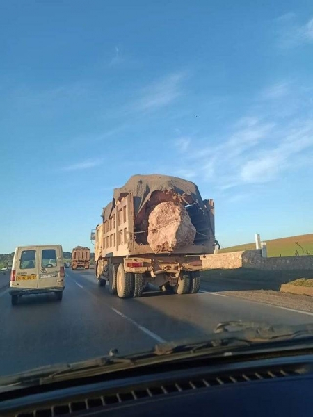 18 владельцев авто, которые не жалеют собственный транспорт и грузят на него все подряд