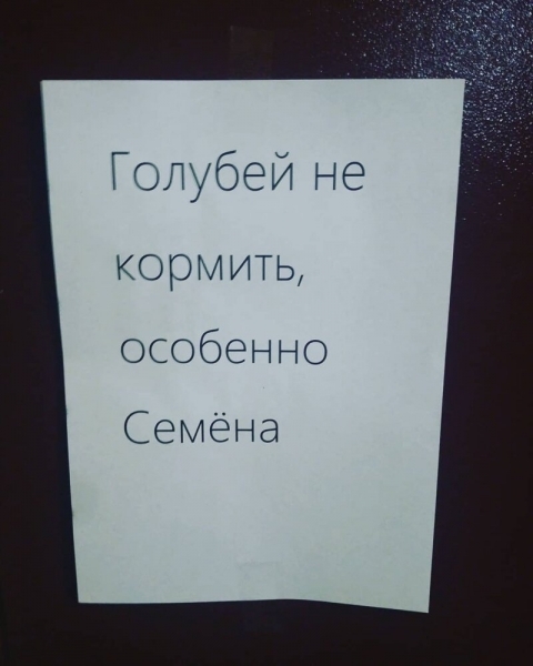 17 уморительных объявлений, которые заставят вас улыбнуться