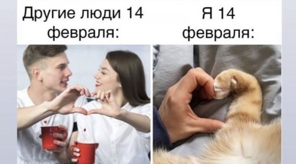 13 смешный фоток и убойных мемов про День всех влюбленных