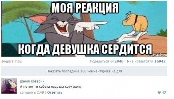Самое смешное в комментах: 15 примеров отборного юмора из соцсетей