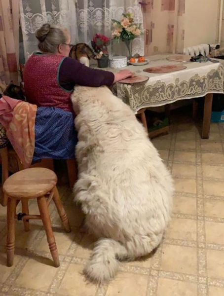 20 подтверждений того, что обычные вещи могут иметь нестандартные размеры