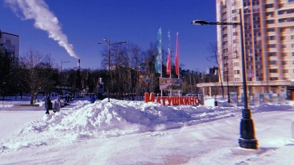Первый замглавы управы района Матушкино арестован за хищение 500 миллионов рублей