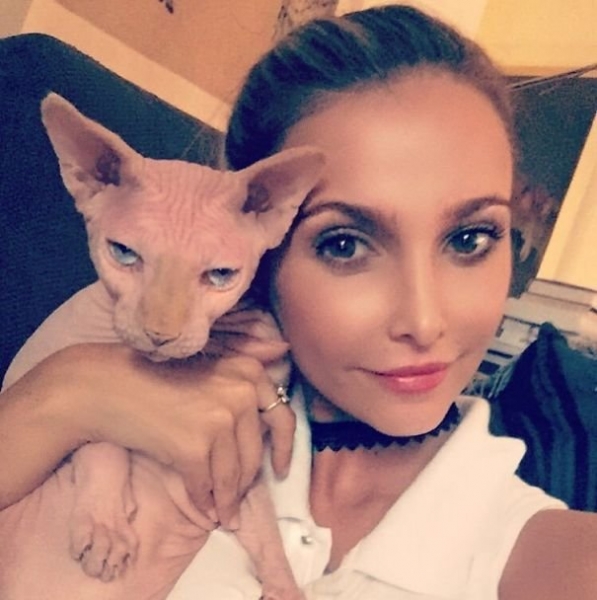 15 котиков, которые терпеть не могут селфи с хозяевами