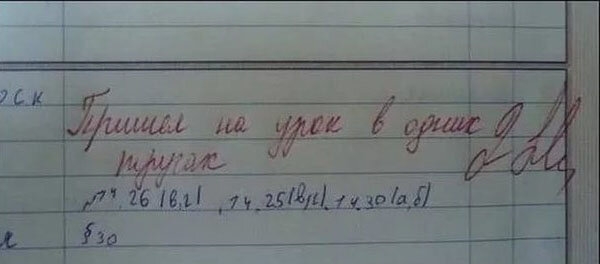 20 замечаний преподавателей, оставленные в дневниках учеников, которые вызывают смешанные эмоции