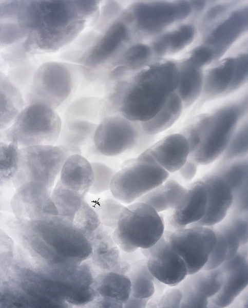 20 фотографий, которые сломают вам мозг независимо от вашего желания