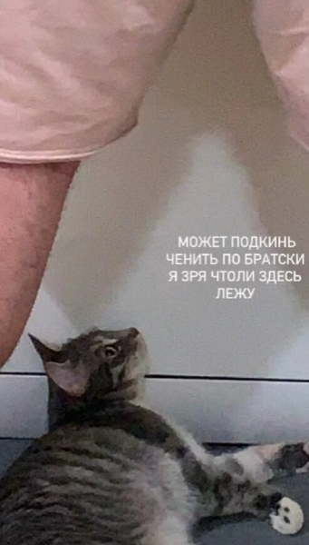 Наглость — второе счастье: 15 про товарищей, которые переплюнули абсолютно всех