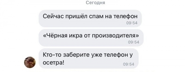 17 убойных СМС-переписок, которые поднимут вам настроение