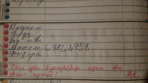 16 замечаний в школьных дневниках, которые ошарашили родителей