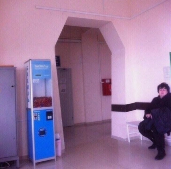 15 фотографий, которые под завязку наполнены вздором и нелепостью