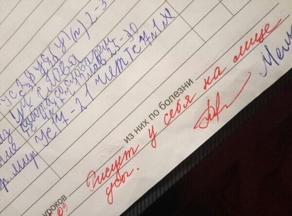 16 замечаний в школьных дневниках, которые ошарашили родителей