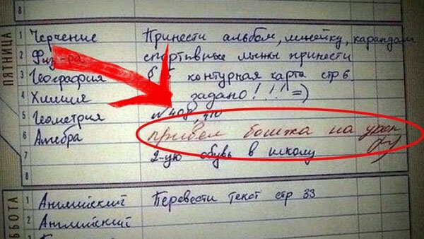 20 замечаний преподавателей, оставленные в дневниках учеников, которые вызывают смешанные эмоции