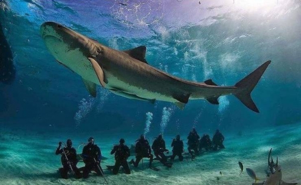 20 забавных и увлекательных фотографий, которые сделают день ярче и покажут нечто новое