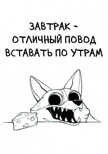 16 юморных утверждений, которые мотивируют людей на успех, отодвинув в сторону лень, все комплексы и страхи