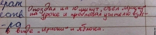 16 замечаний в школьных дневниках, которые ошарашили родителей