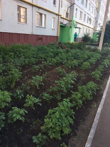 20 виртуозов, готовых решать проблемы постоянно
