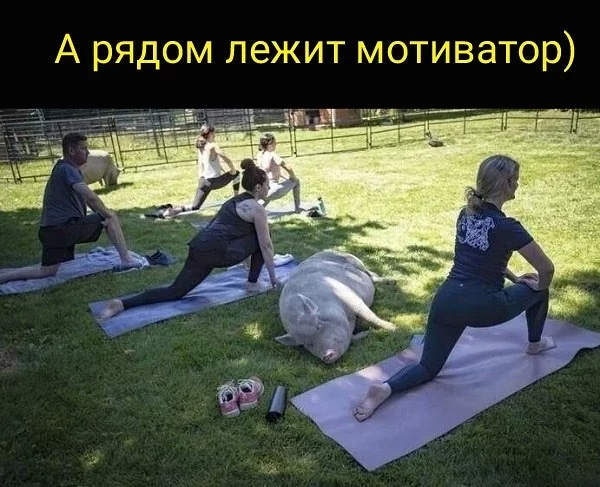 16 юморных утверждений, которые мотивируют людей на успех, отодвинув в сторону лень, все комплексы и страхи