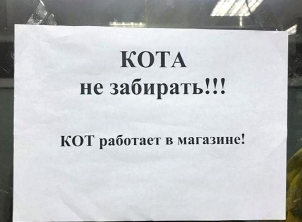 18 примеров того, когда видишь интересные слоганы, а комментарии от людей интереснее самой вывески