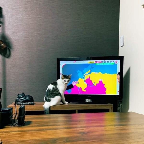 19 сбивающих с толку фотографий, которые показывают то, чего нет на самом деле