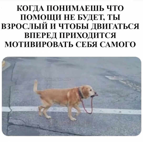 16 юморных утверждений, которые мотивируют людей на успех, отодвинув в сторону лень, все комплексы и страхи