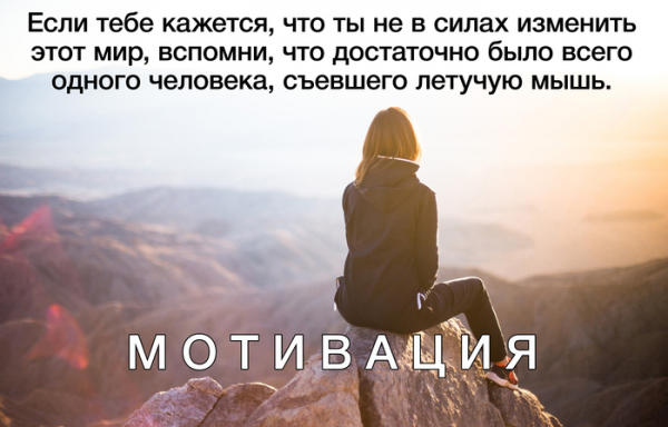 16 юморных утверждений, которые мотивируют людей на успех, отодвинув в сторону лень, все комплексы и страхи