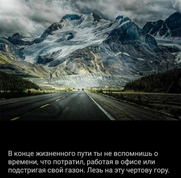 16 юморных утверждений, которые мотивируют людей на успех, отодвинув в сторону лень, все комплексы и страхи