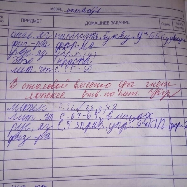 16 замечаний в школьных дневниках, которые ошарашили родителей