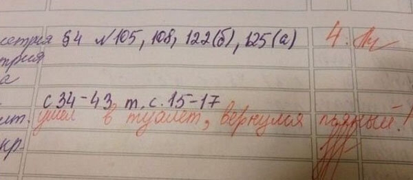 20 замечаний преподавателей, оставленные в дневниках учеников, которые вызывают смешанные эмоции
