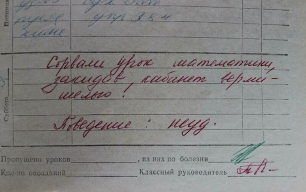 16 замечаний в школьных дневниках, которые ошарашили родителей
