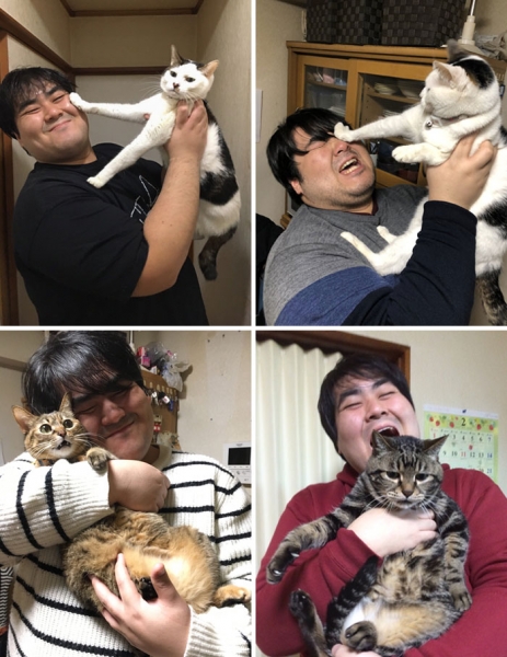 20 кошек, которые наотрез отказываются обниматься со своими хозяевами, ведь они сильные и независимые