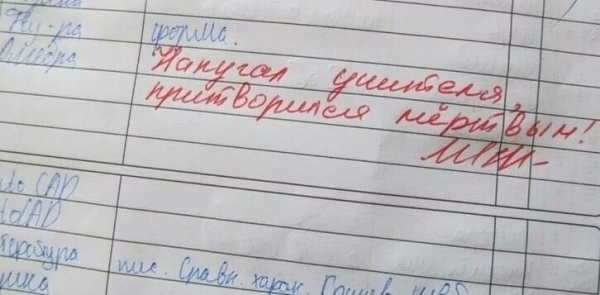 16 замечаний в школьных дневниках, которые ошарашили родителей