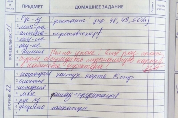 16 замечаний в школьных дневниках, которые ошарашили родителей