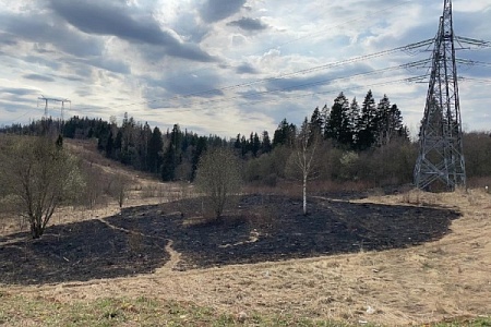 Прокуратура требует возбудить уголовное дело из-за поджога травы