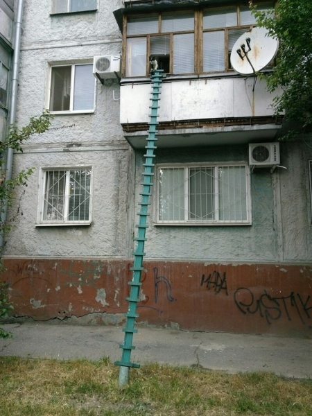 19 сообразительных ребят, которые точно не пропадут