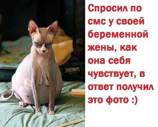 18 примеров того, что беременность это вам не шуточки