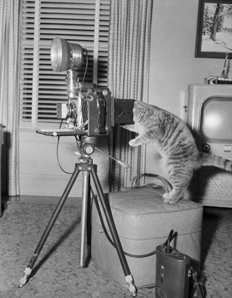25 фотографий с редкими моментами из прошлого, которые обеспечат вам приятную ностальгию