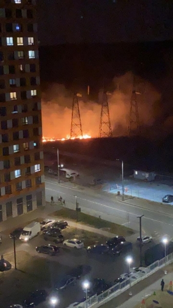 Прокуратура требует возбудить уголовное дело из-за поджога травы