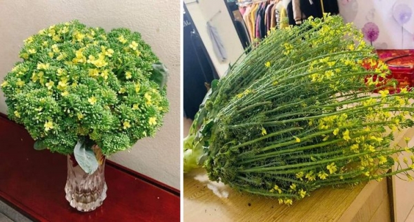 20 фотографий природы, которые выглядят как фотошоп, но являются абсолютно реальными